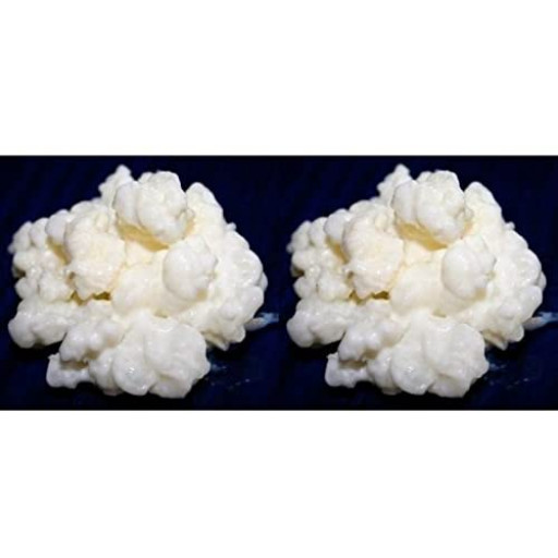 Pack 2x 40g Melkkefir Korrels / Plantje
