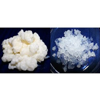 Pack 40g Melkkefir Korrels / Plantje + 100g Waterkefir korrels / Plantje