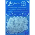 Pack 2x 100g Waterkefir korrels / Plantje