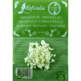 Pack 40g Melkkefir Korrels / Plantje + Komboecha Scoby