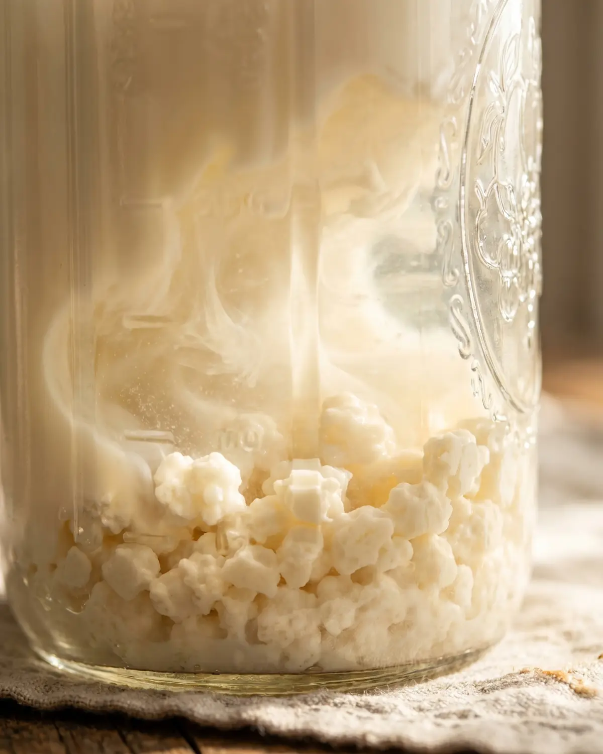 fermenteren betekenis Close-up van roomwitte melkkefirkorrels op de bodem van een pot met melk eromheen.