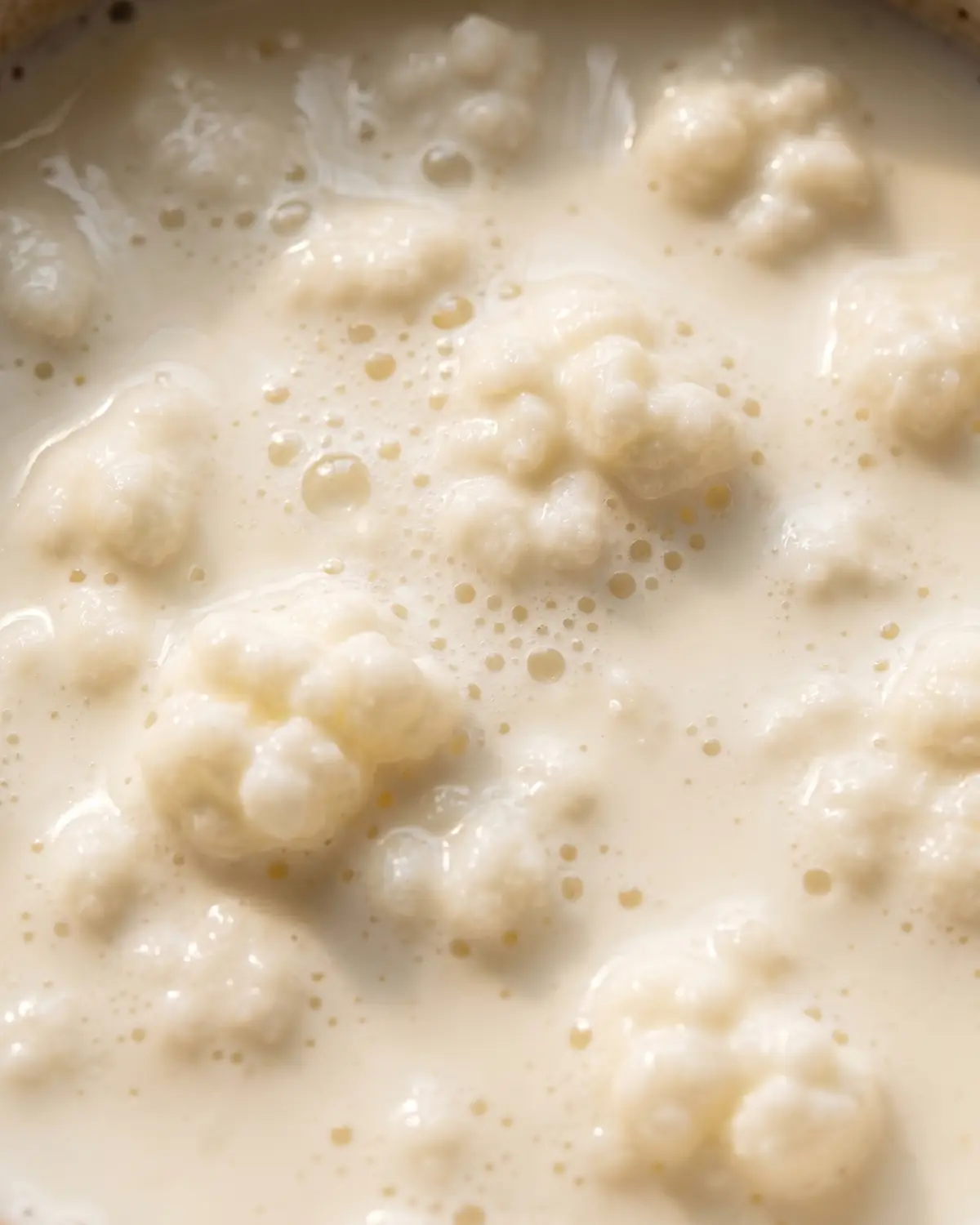 Close-up van romige melkkefir met fijne belletjes aan het oppervlak onder zacht bovenlicht.