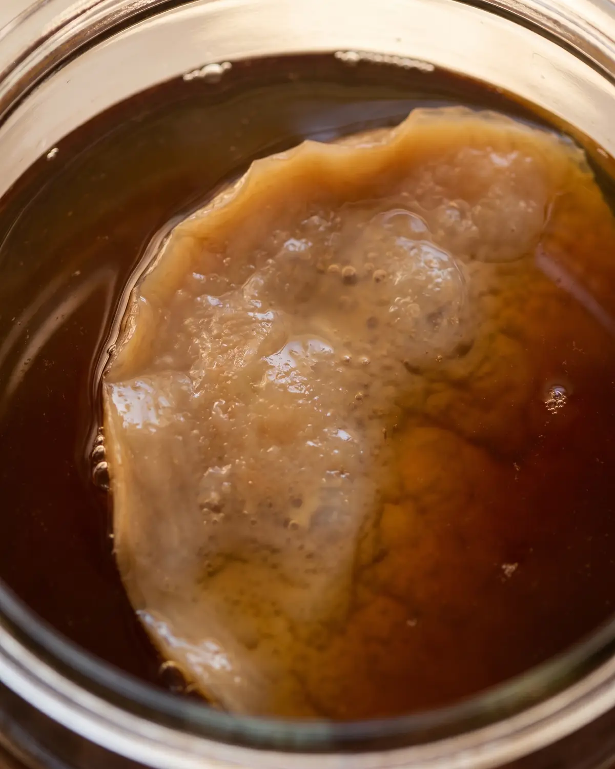 kombucha gevaarlijk Dunne SCOBY met onregelmatige rand die bovenop donkere thee drijft, van bovenaf gefotografeerd